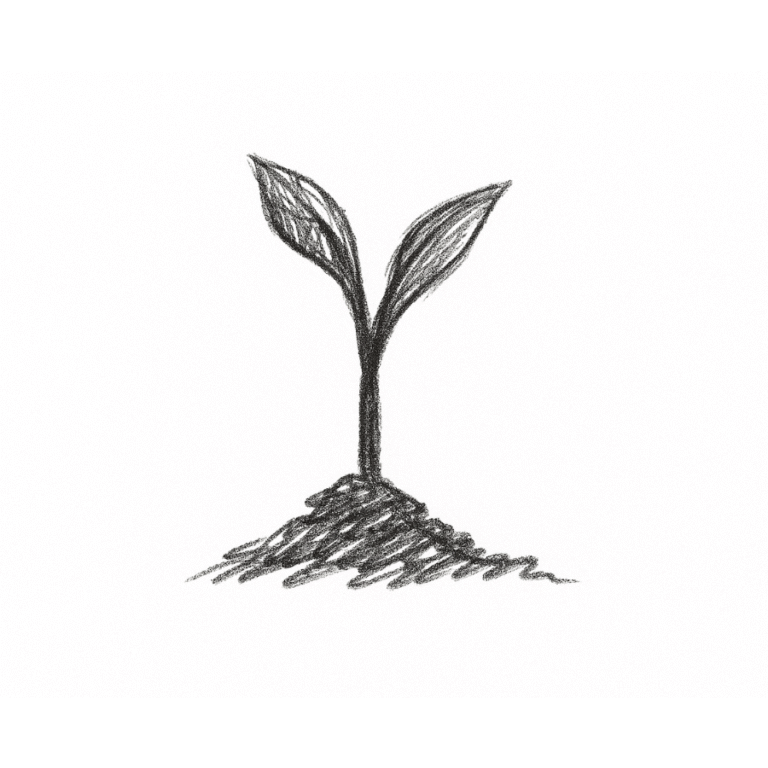 seedling sprouting