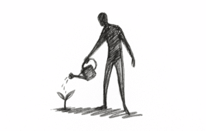 A man watering a plant seedling.